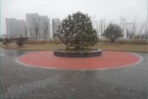 濱河風(fēng)景帶透水磚實景